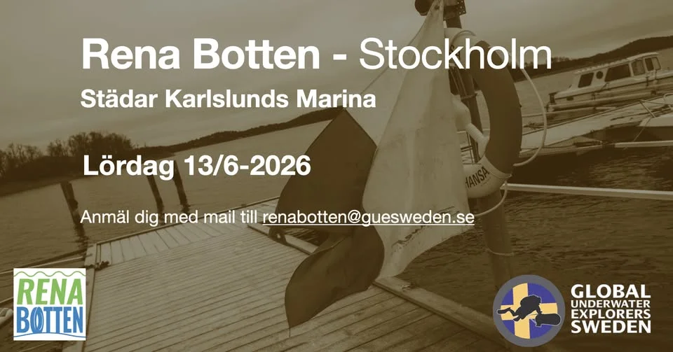 Rena Botten städar Karlunds Marina