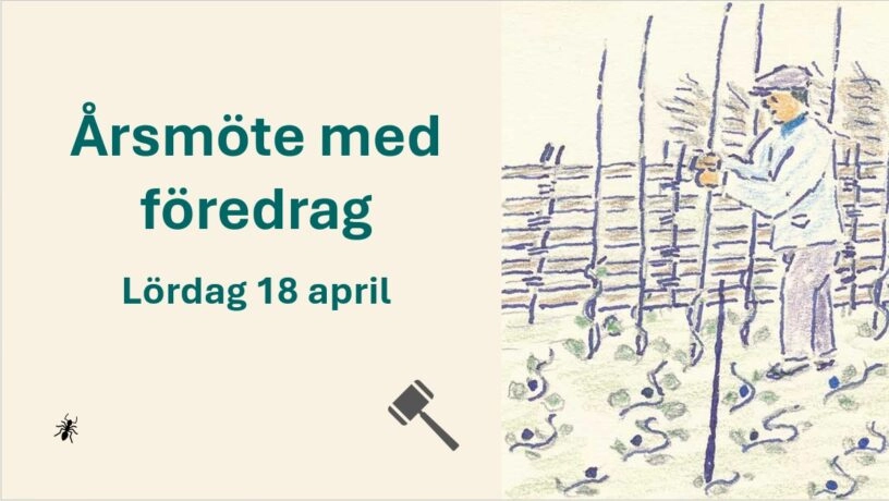 Årmsmöte med föredrag