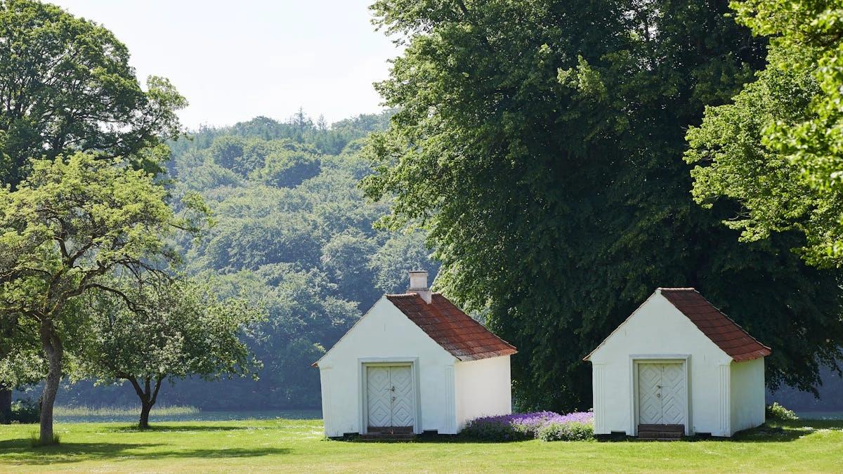 Fælles lyttevandring ved Hald Sø: La´ os (Lone Hørslev)