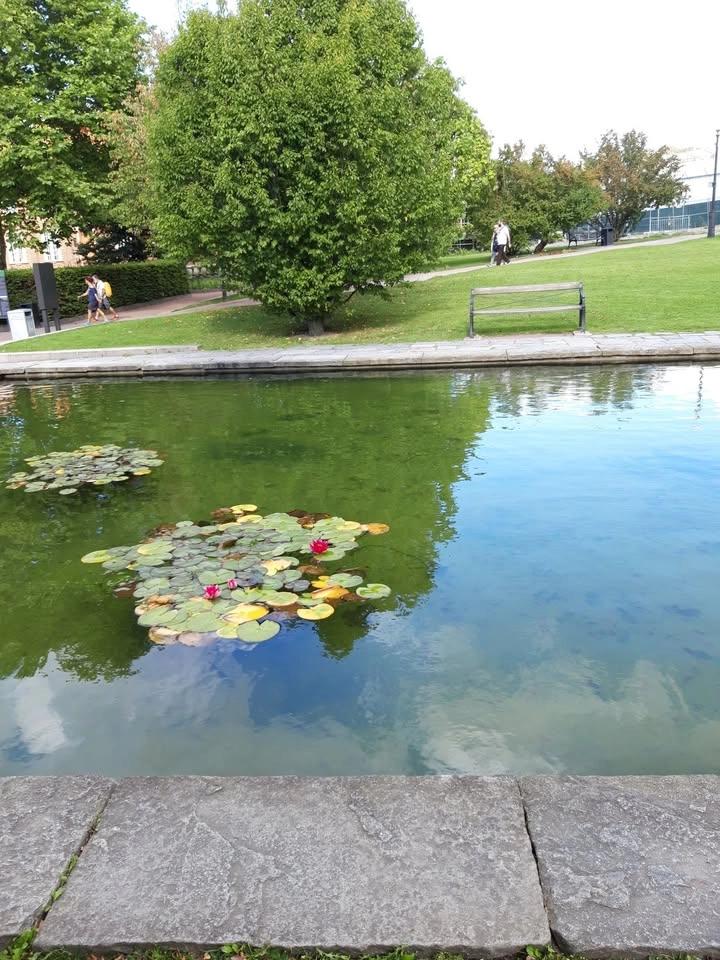 Botaniska Trädgården inne på Cafét som ligger på vänster sida om ingången