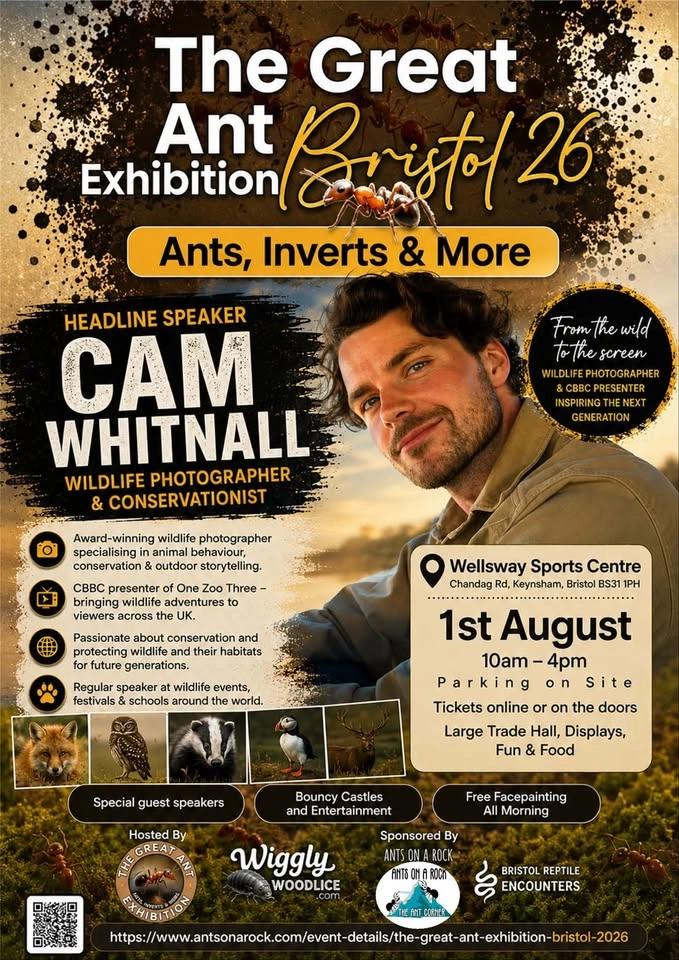 The Great Ant Exhibition Bristol 2026