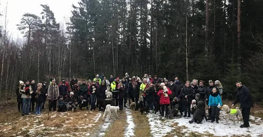 Pudelpromenad i Ängsjö