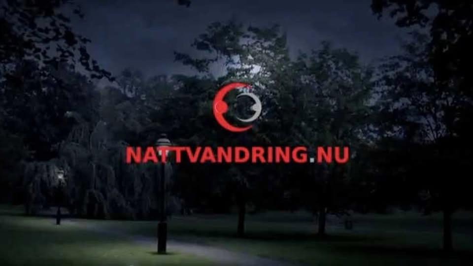 Enskede nattvandring