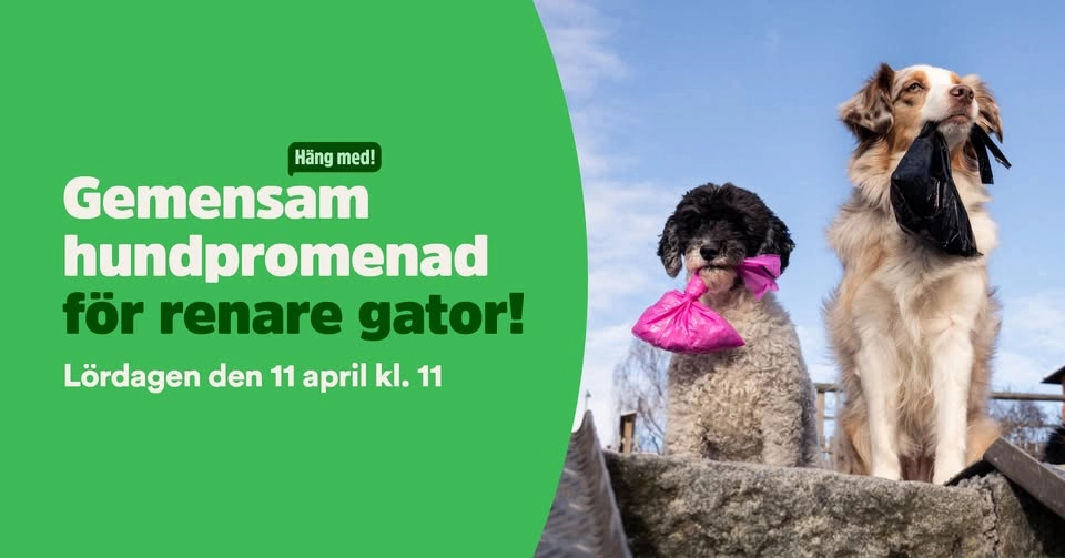 Gemensam hundpromenad