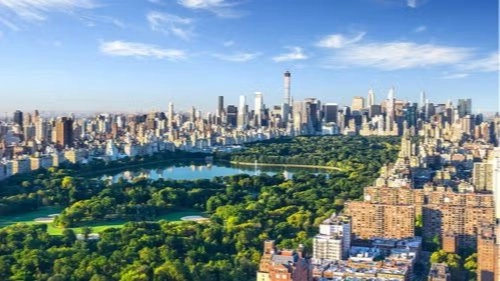 Paint In Central Park - A Bucket List Event!