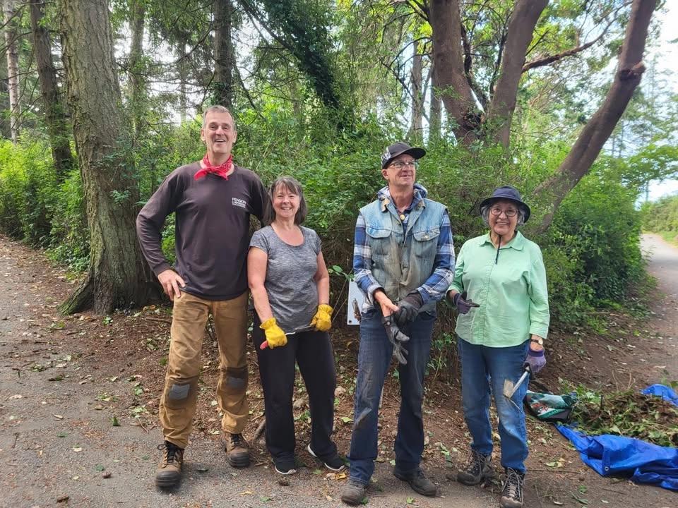 Invasive plant pull