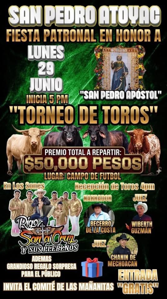 Gran torneo de toros 🐂 🤠