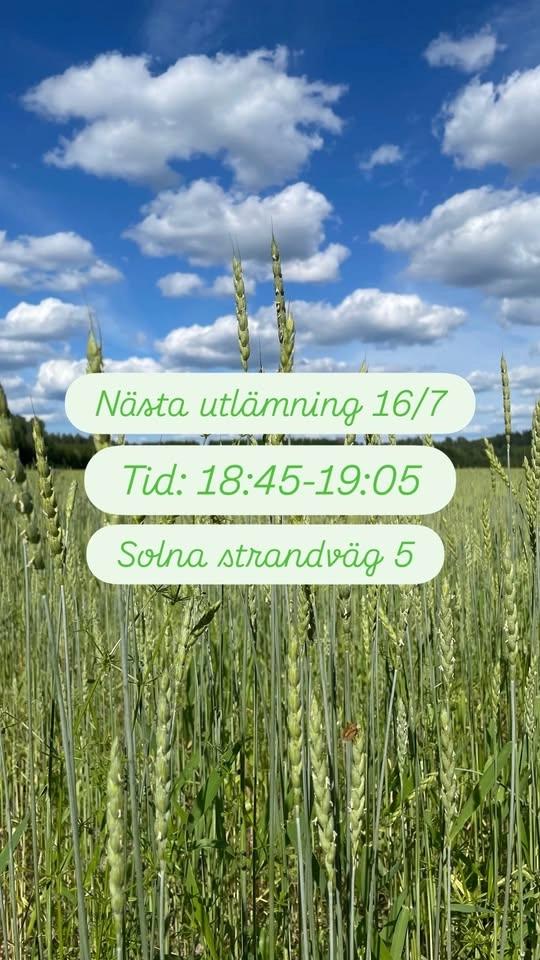 REKO-utlämning Solna / Sundbyberg