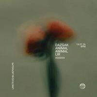 DAZGAK! + Animal Animal w/ Lir