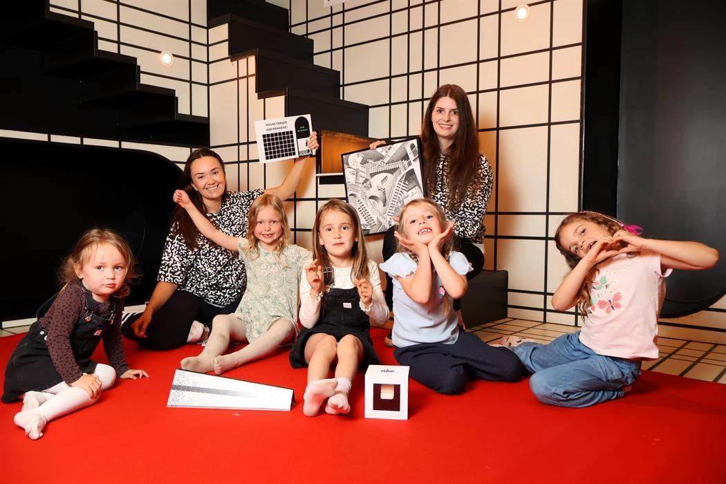 Summer Workshop: What Are Optical Illusions?