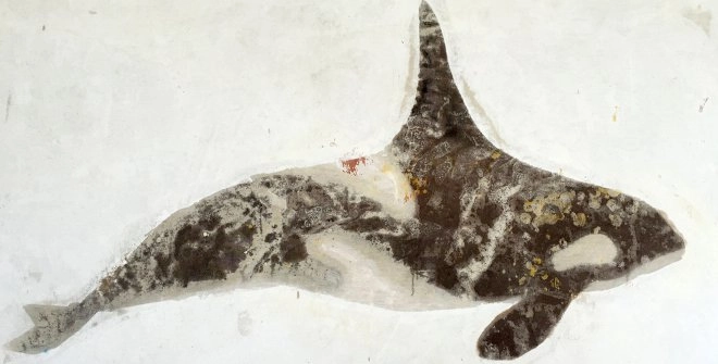 Exposición: Moby Dick. The Dream of Captain Ahab.