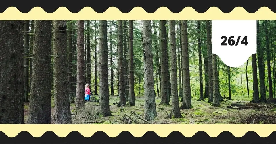 Meloditipset: Skogen