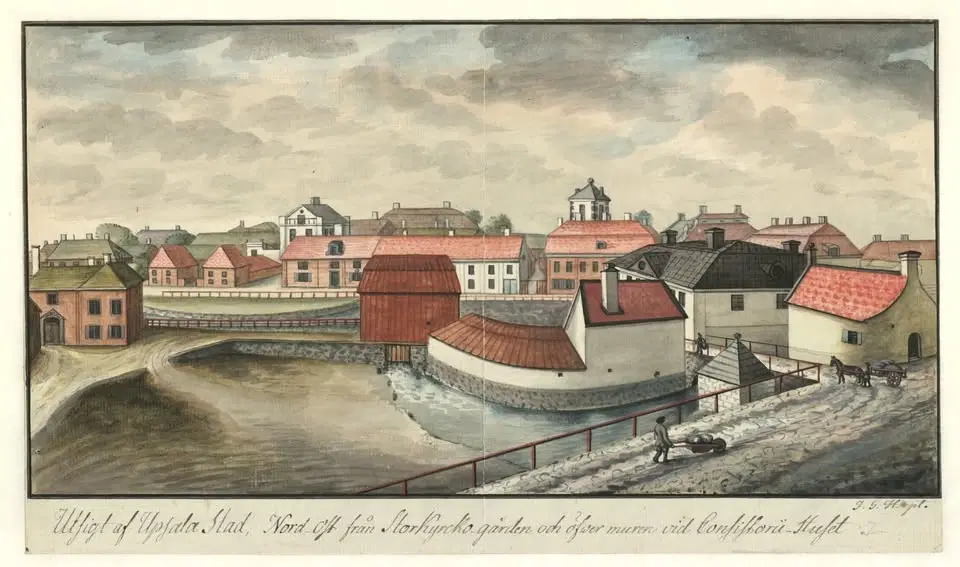 Nätverks- och årsmöte