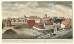 Nätverks- och årsmöte