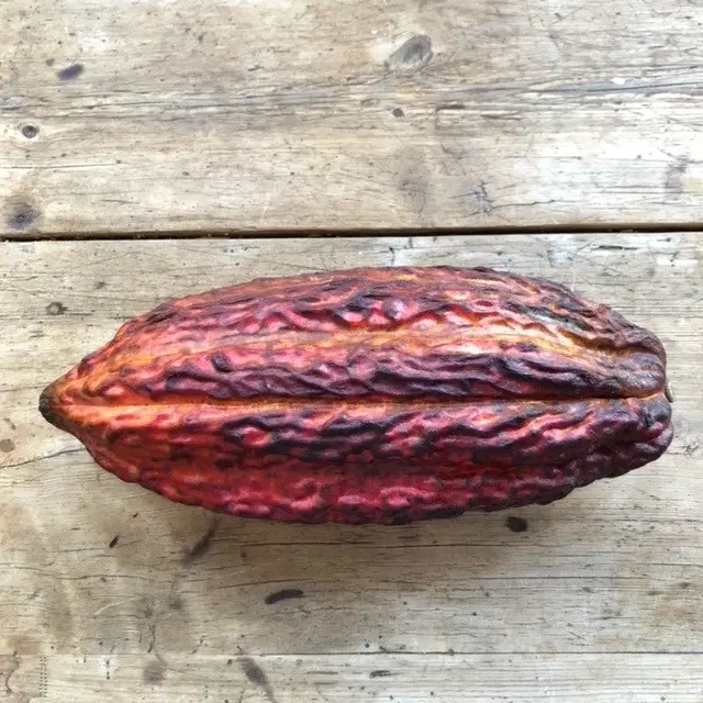 Allt du inte visste att du ville veta om choklad - chokladprovning