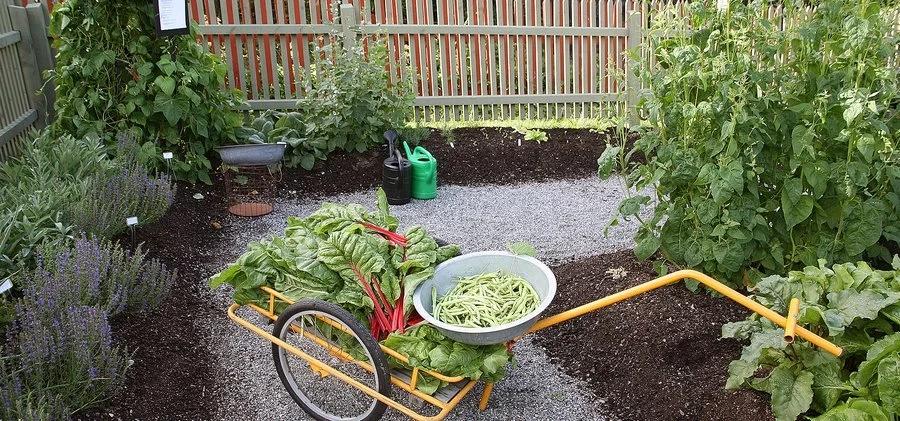 Visning av Edsviks köksträdgård