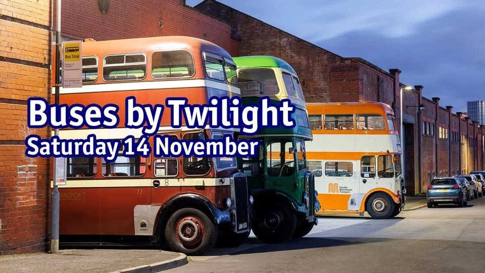 Buses by Twilight