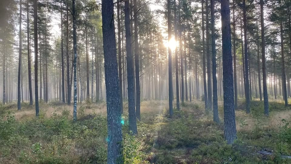 Dansretreat i juni Rättvik!