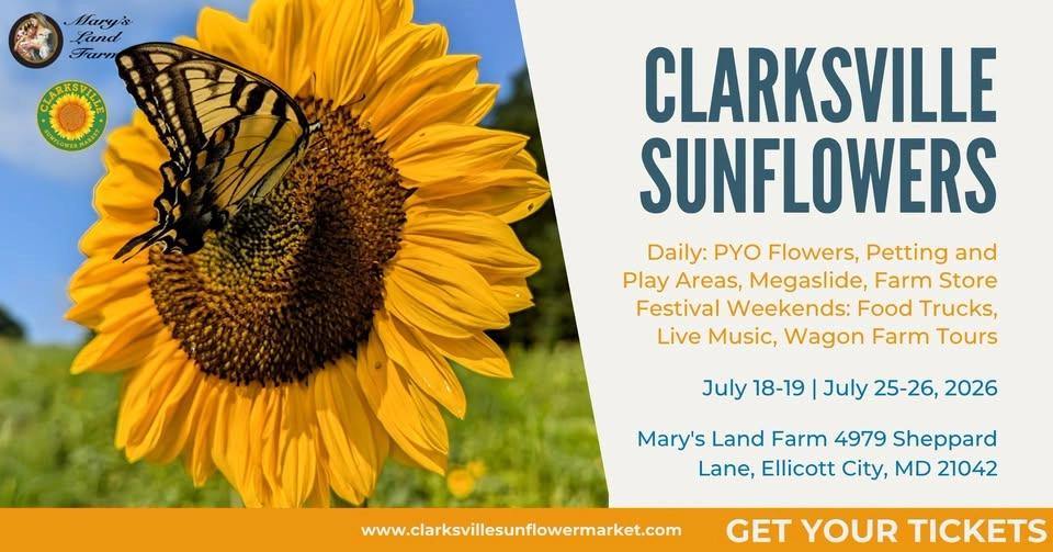 Clarksville Sunflowers Festival 2026