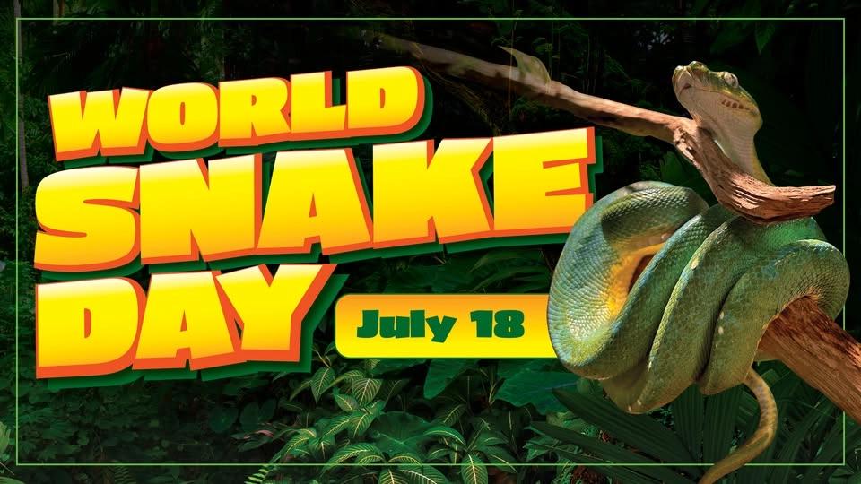 World Snake Day