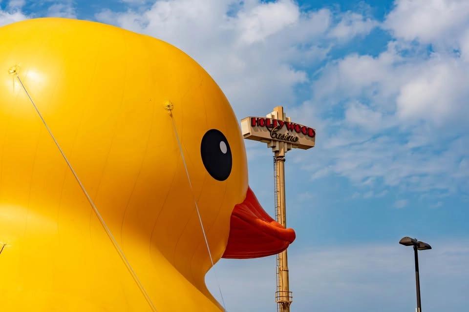 World's Largest Rubber Duck RETURNS