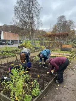 Prova på: Odla med oss!