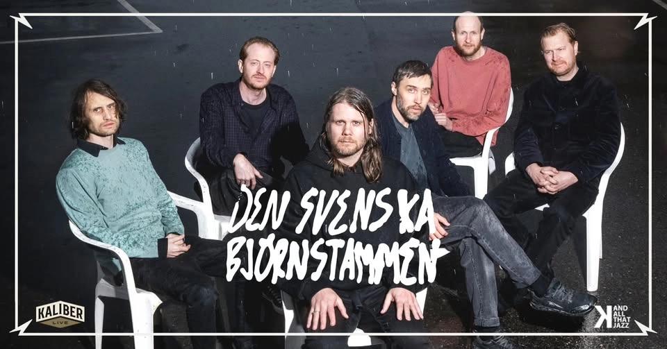 Den Svenska Björnstammen | Katalin Uppsala