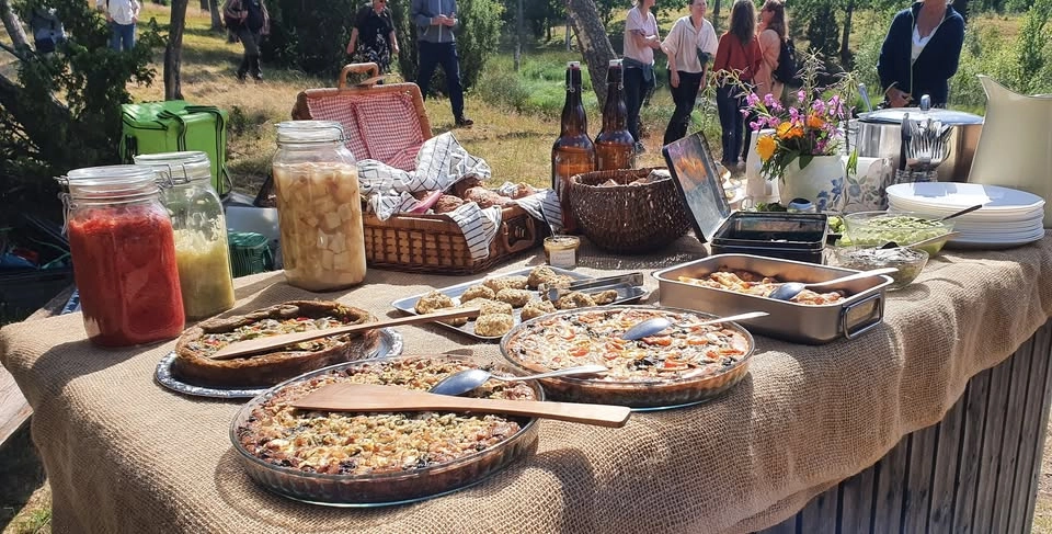 Naturens skafferi & apotek - guidad tur med mat (buffé på ogräs och vilda växter)