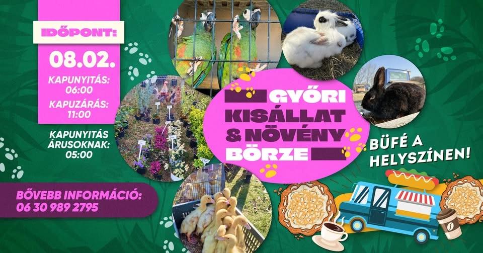 🌿🐔 Győri Kisállat és Növénybörze – Augusztusban is! 🐦🌱