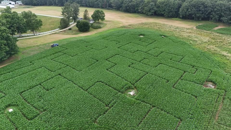 Corn Maze at Pineland Farms