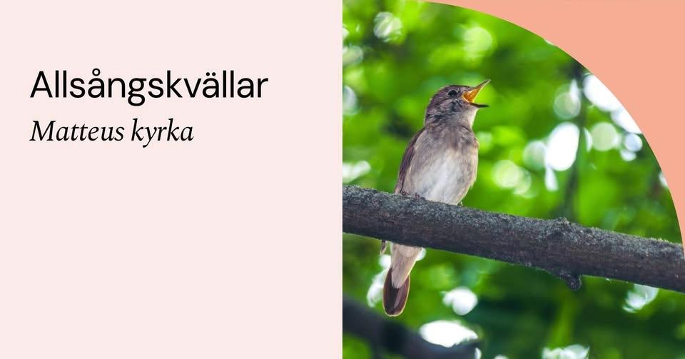Allsångskvällar på Matteus kyrkas innergård