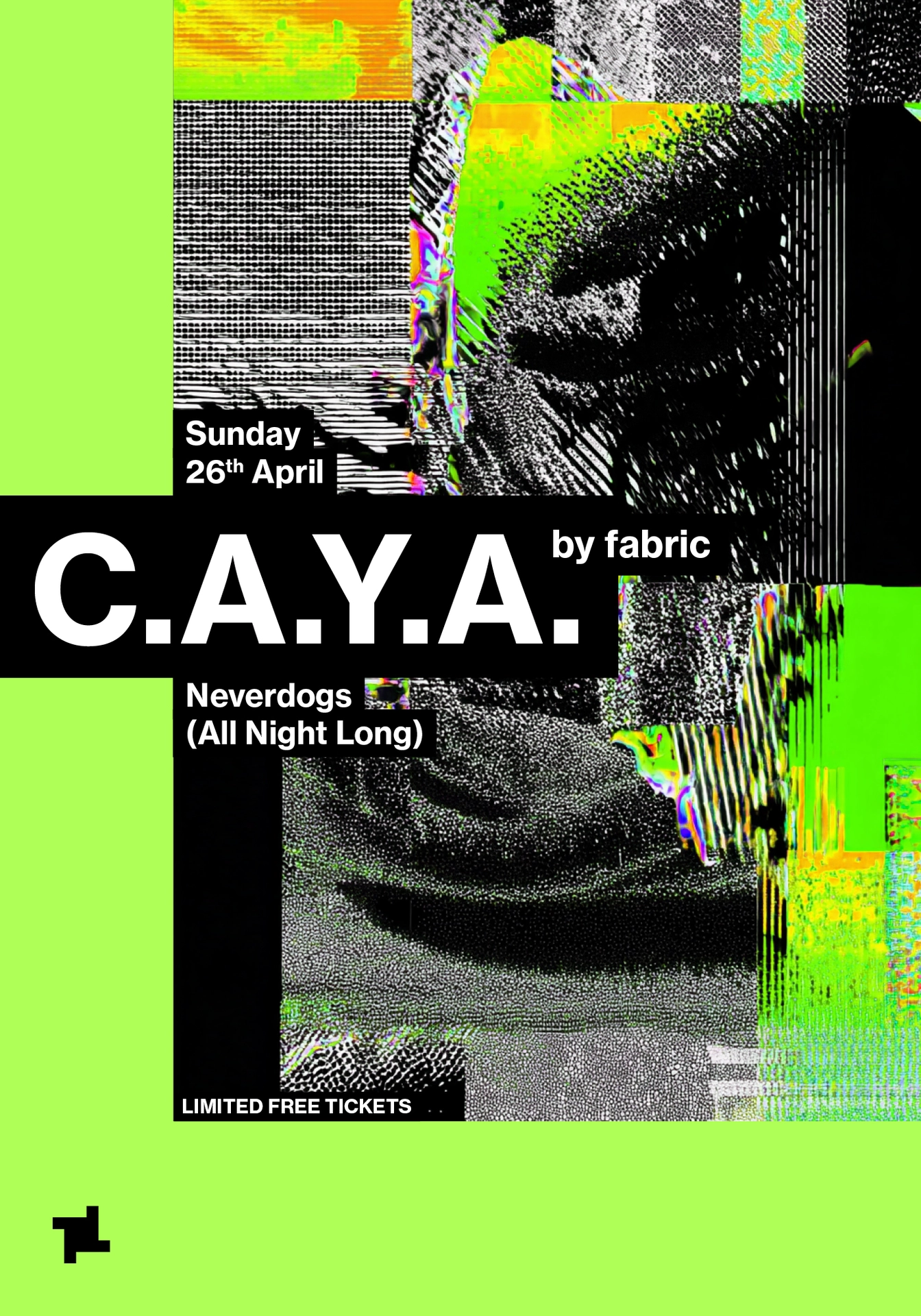 CAYA by fabric: Neverdogs (All Night Long)
