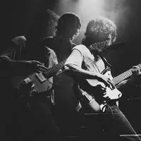 This Will Destroy You