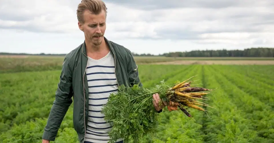Odlingslördag! Föredrag med Paul Svensson