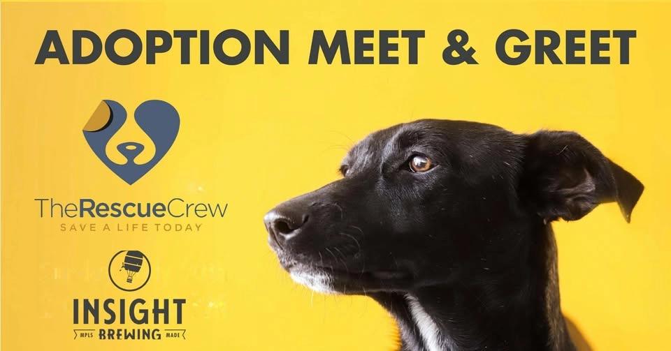 Adoption Meet & Greet at Insight Brewing