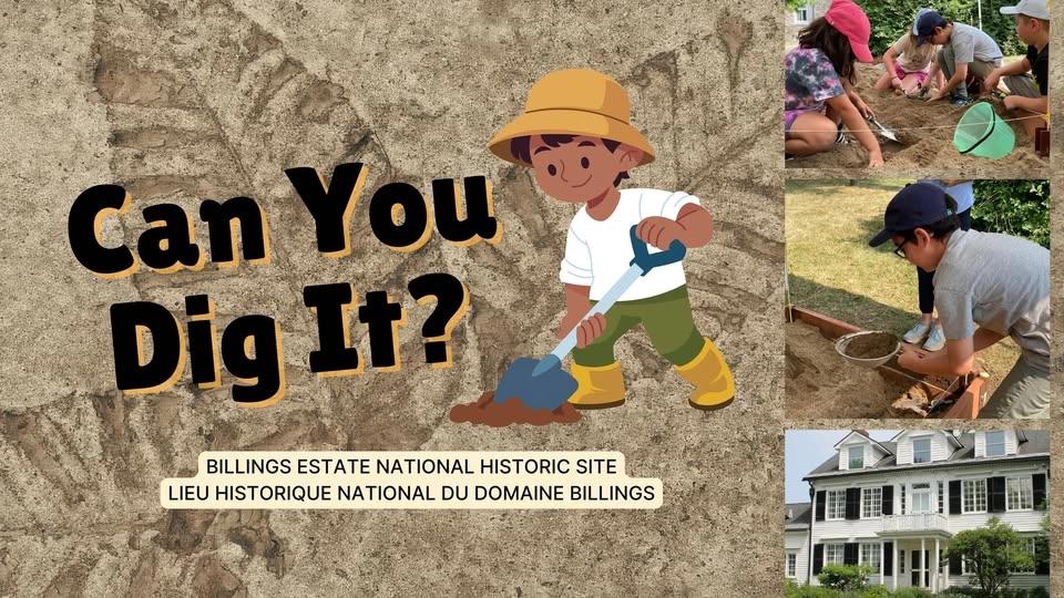 Can You Dig It?