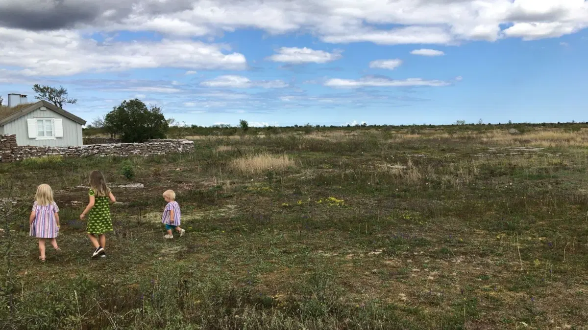 Matvandring med öländska smaker i världsarvet