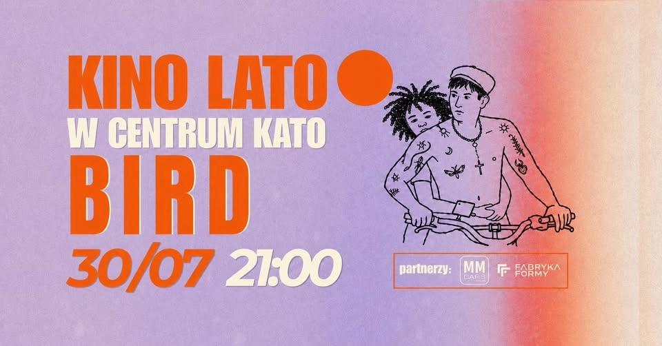 KINO LETNIE W CENTRUM KATO ✦ Bird