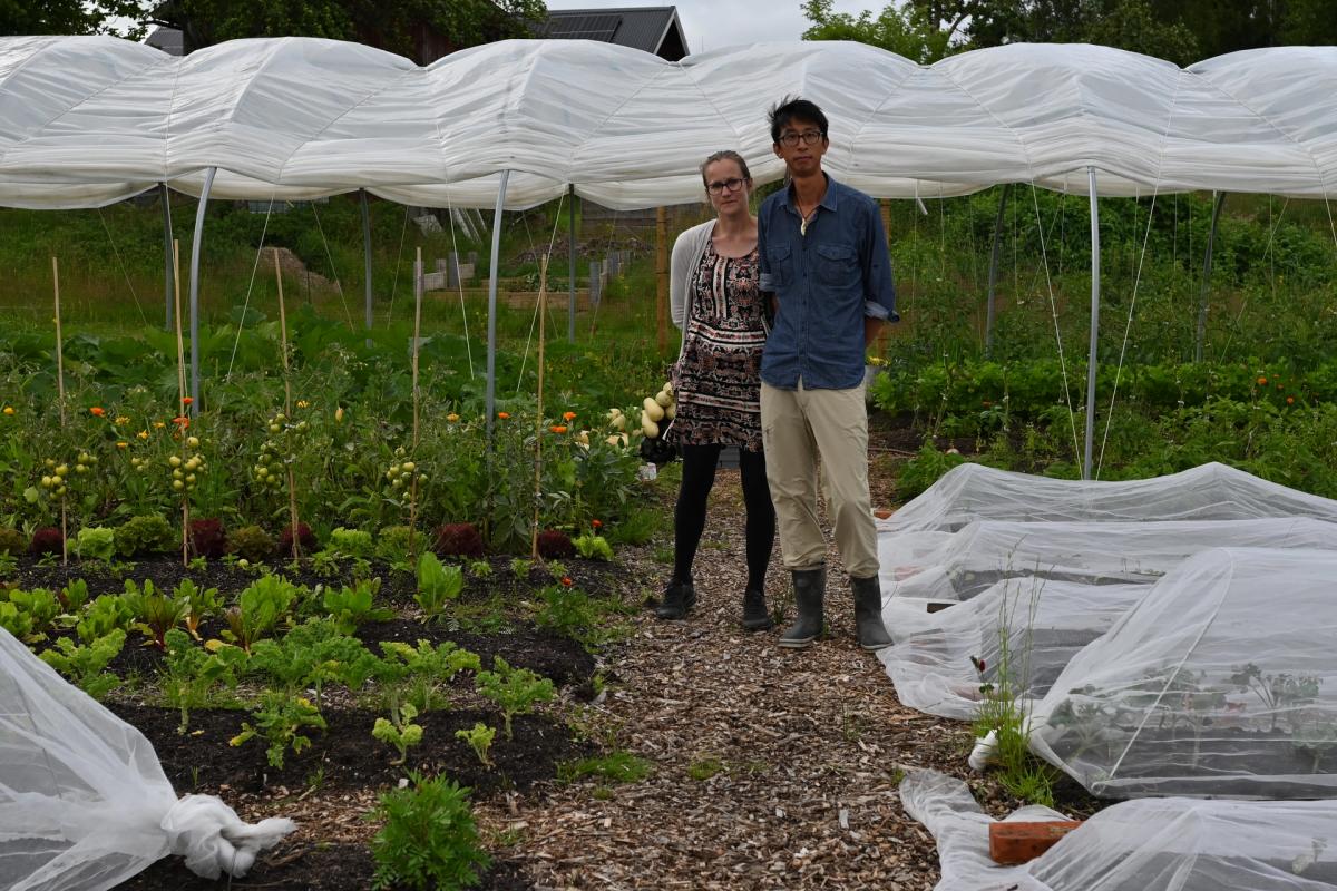 The Edible Story of a Farm – Dylan Lowe / Wealdbrook Farm