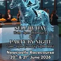 The Pitch Perfect Stall Ball