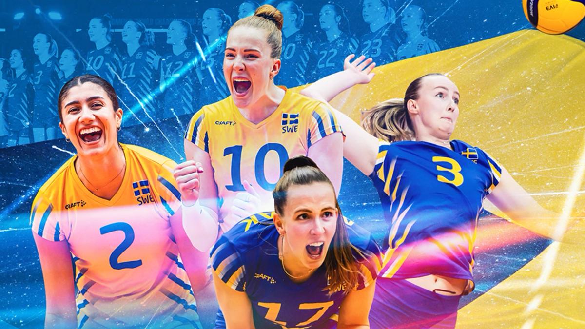 Sverige - Bosnien & Hercegovina