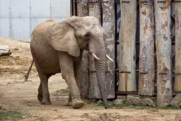 Národná zoo Bojnice: Vstupenky