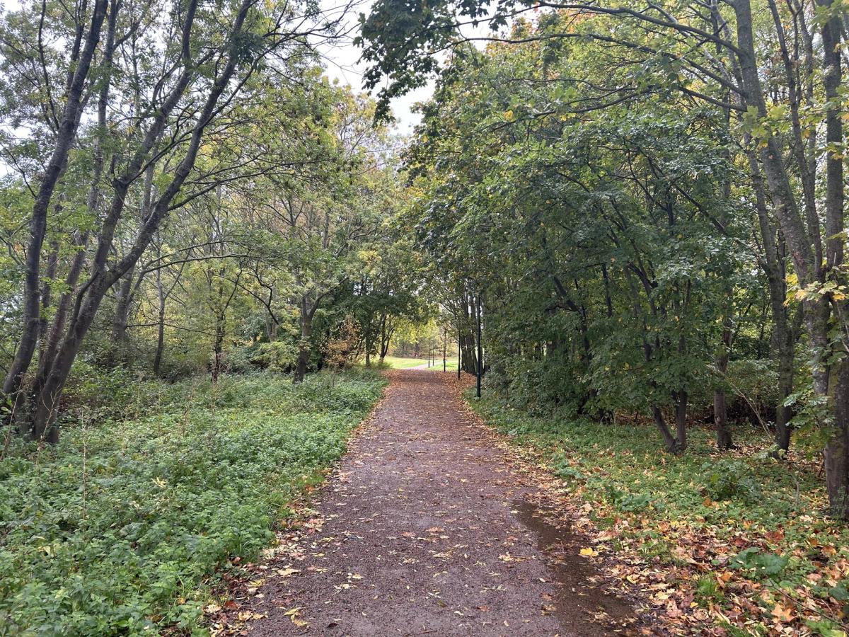 Bulltofta parkrun