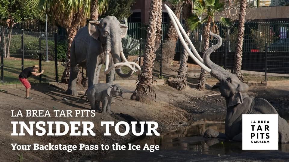 La Brea Tar Pits Insider Tour