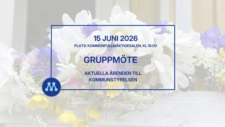 Gruppmöte 15 juni 2026