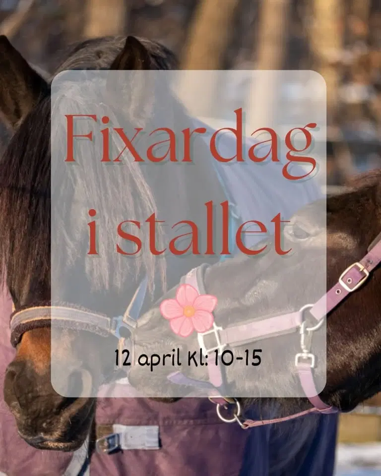 Fixardag i stallet