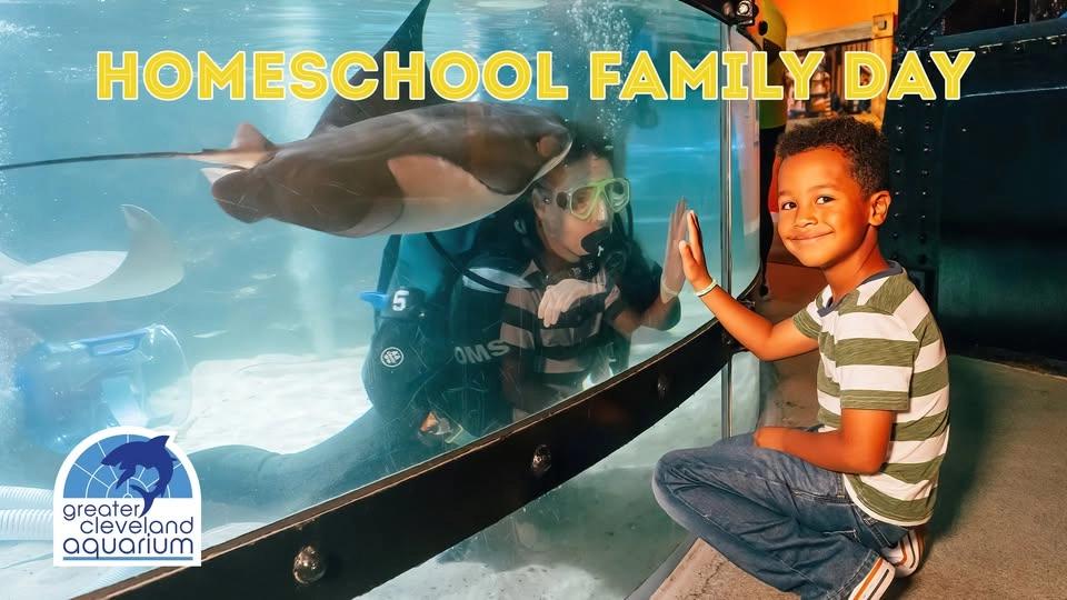 Homeschool Family Day - Elasmobranch Extravaganza