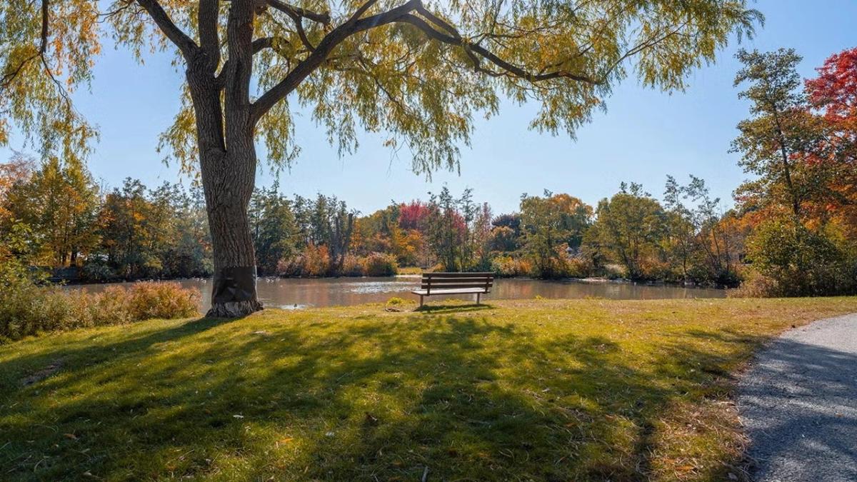 Sunday Nature Leisure Walk in Port Credit (Walk, Talk and Flock)