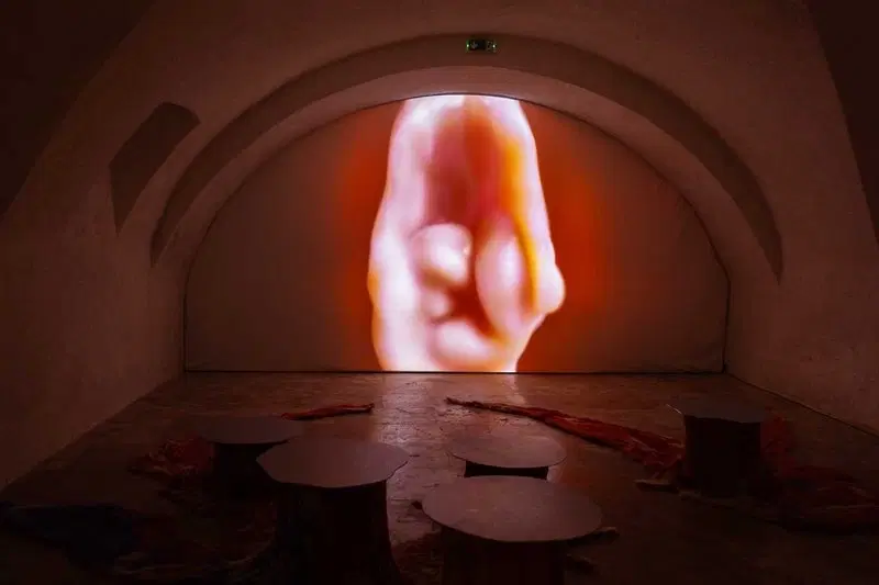 Spolu s umením: Dotyk vnútra