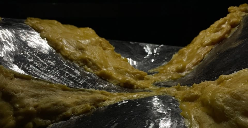 as companions – Anania Røde